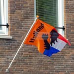 Mooie vlaggen met een leeuw als symbool