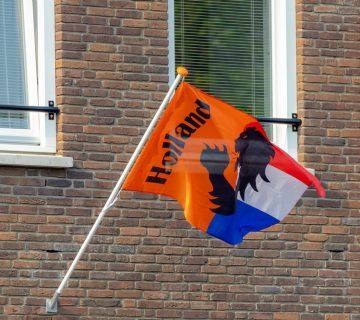 Mooie vlaggen met een leeuw als symbool