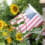 Wist jij dit al over het plaatsen van een vlag in je tuin